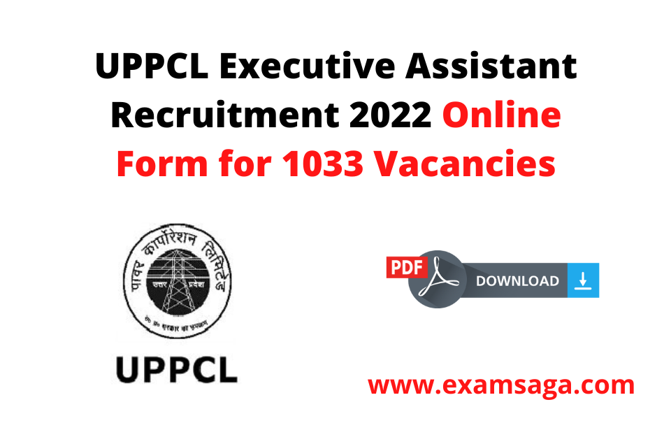UPPCL Executive Assistant Recruitment 2022 Online Form for 1033 Vacancies
