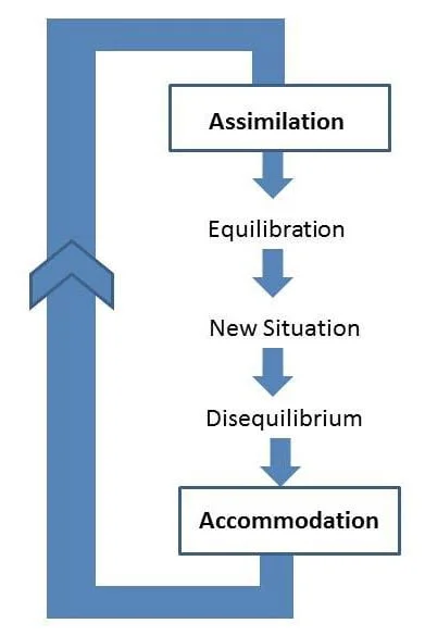 Jean Piaget's theory of Cognitive Development For CTET 2 EXAMSAGA