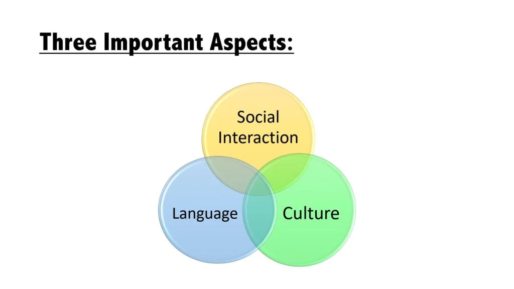 Lev vygotsky social online interaction