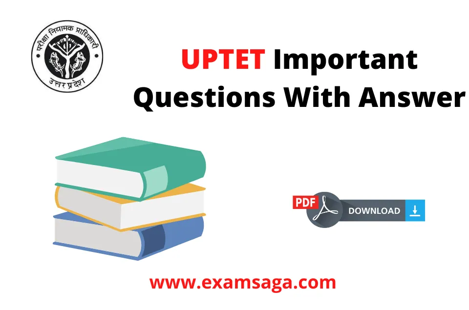 uptet important question in hindi