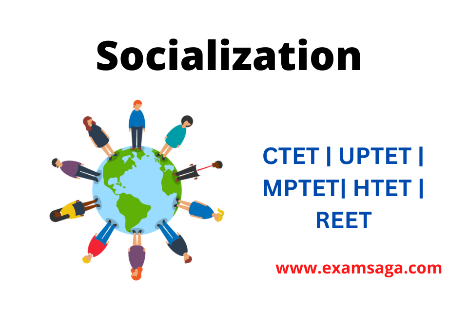 socialization notes for ctet
