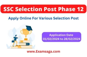 SSC Selection Post Phase 12 2024